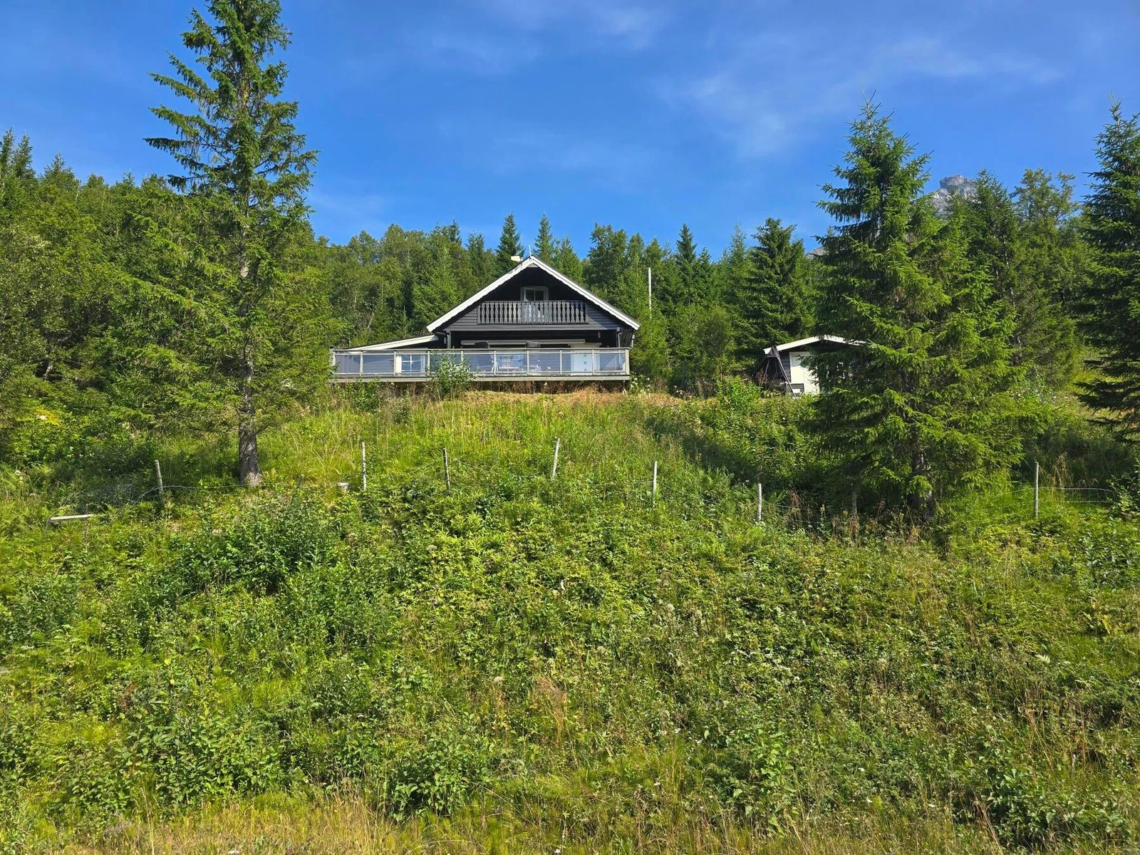 Modern dining room with a patterned wooden table, leather chairs, and a large plant